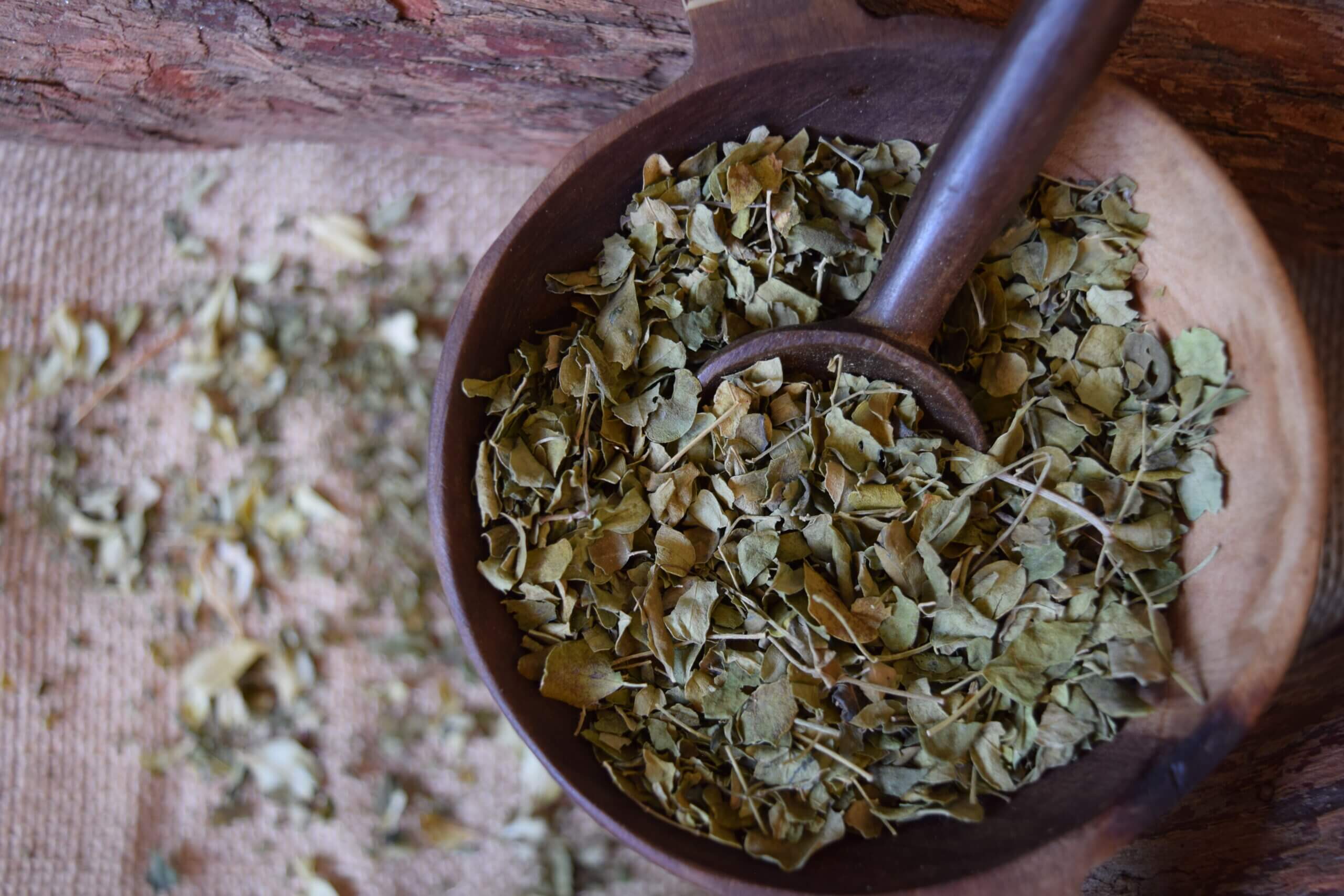 Moringa Leaves