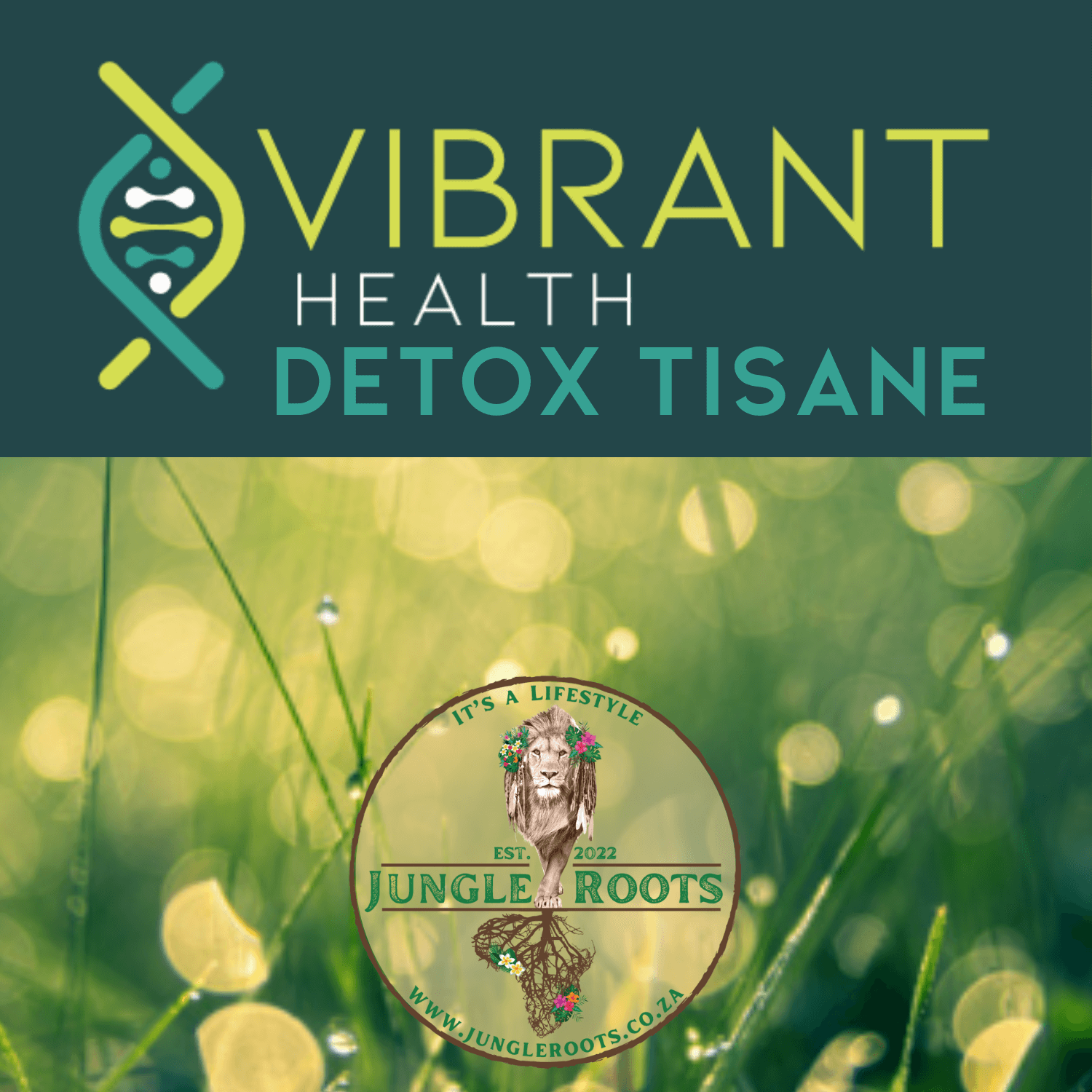 Vibrant Health Detox Tisane
